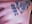 Mon minou a chaud - video by Chachou000 cam model