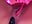 Exclu Pussy ass - video by Chachou000 cam model