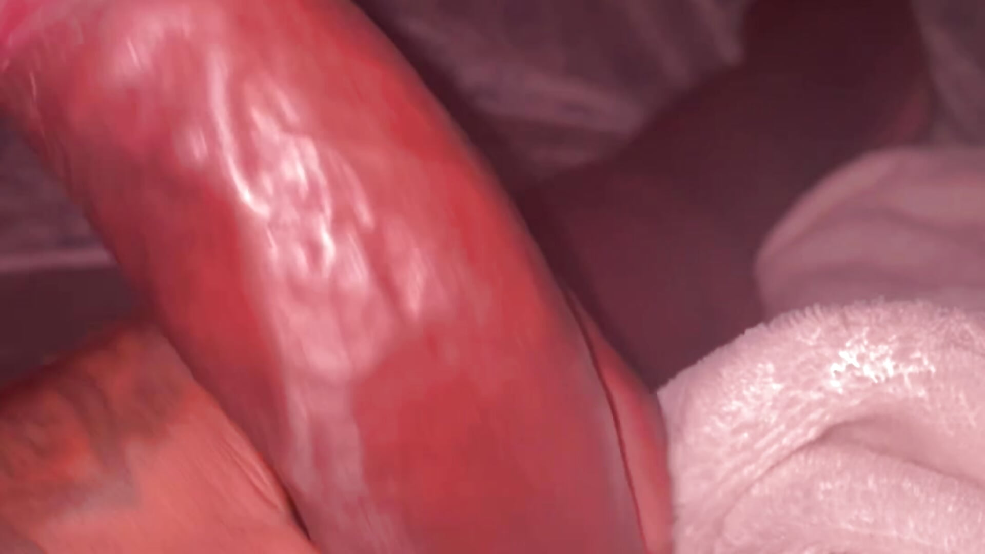 My big cock - video by BL4CKBUNY cam model