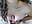 POV: Sloppy Blowjob - clip cu EveliHau
