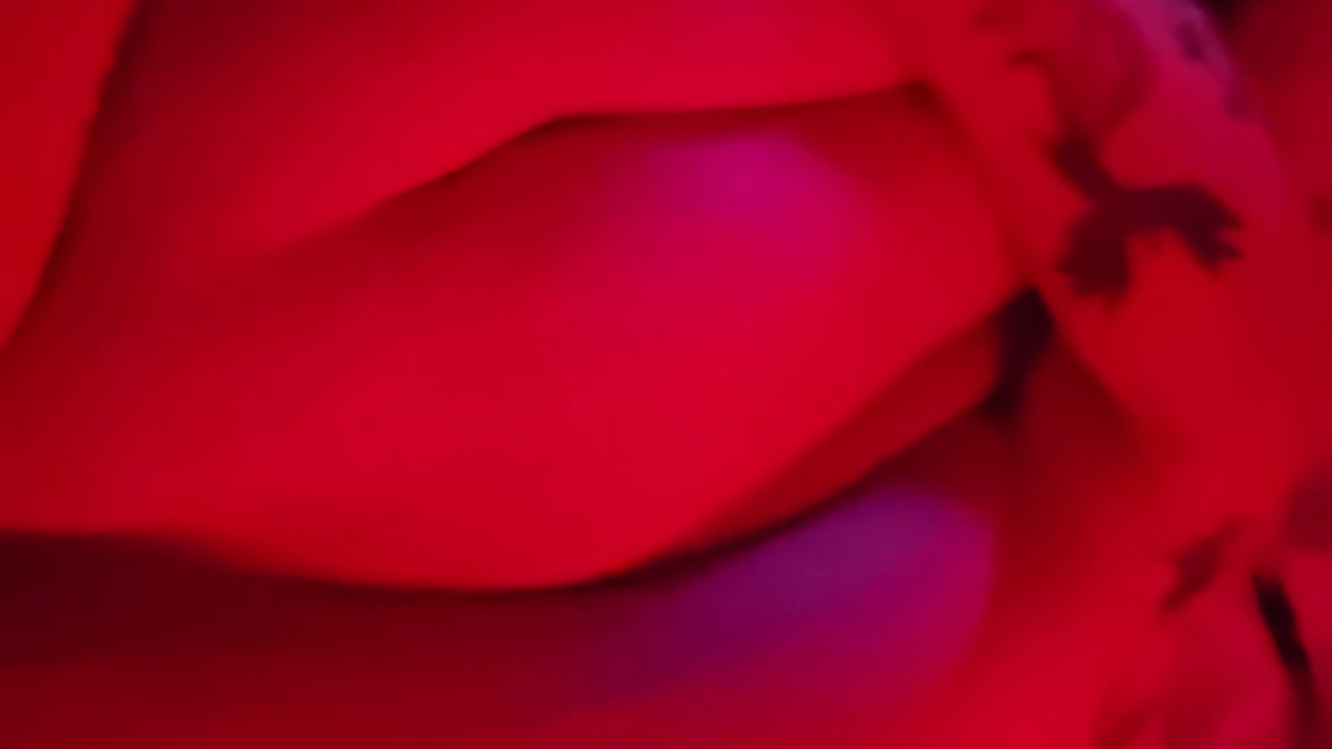 1000000289