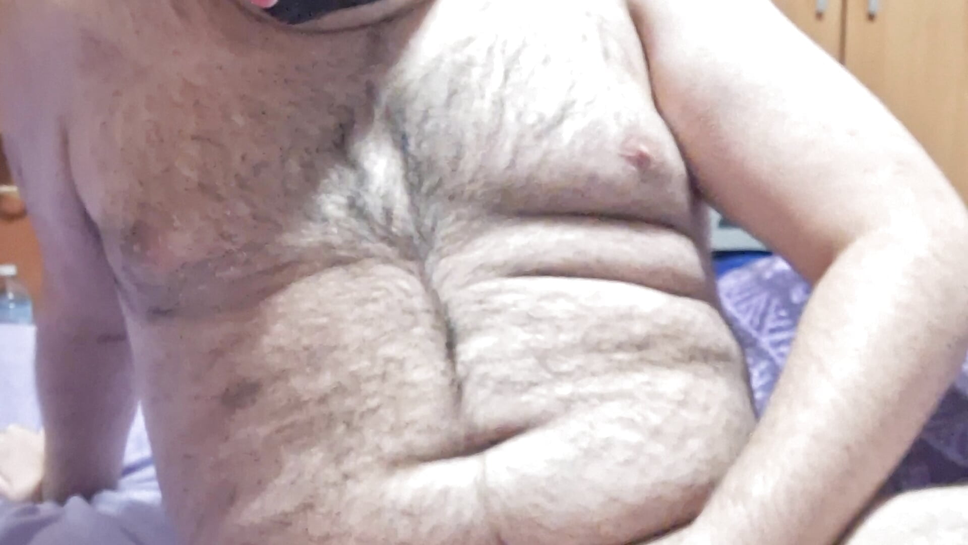 Puppy Miko plays with his bone - video by Javier_bear cam model