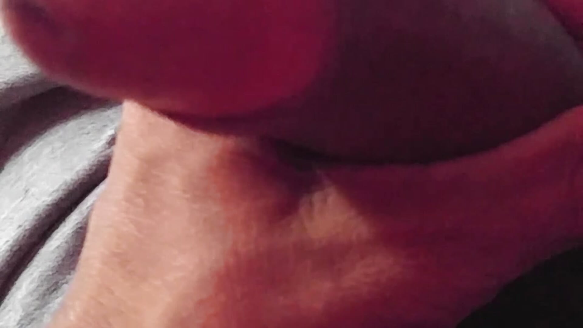 20240103_142442 - video Canish kameramallilta