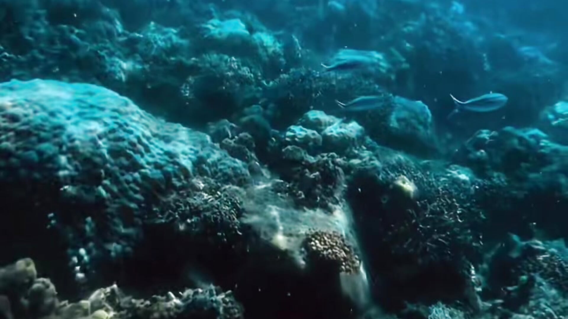 Underwater mermaid - clip cu Sweet_haeven model videochat