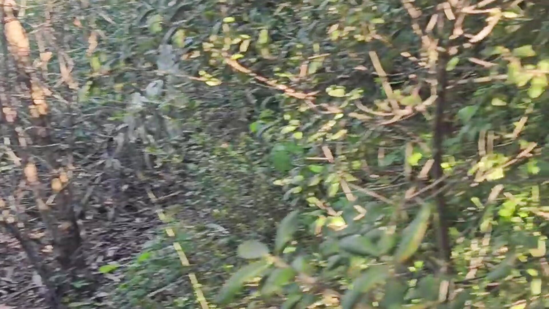 Us, fucking - vídeo de la modelo de cam pleasureseekerss