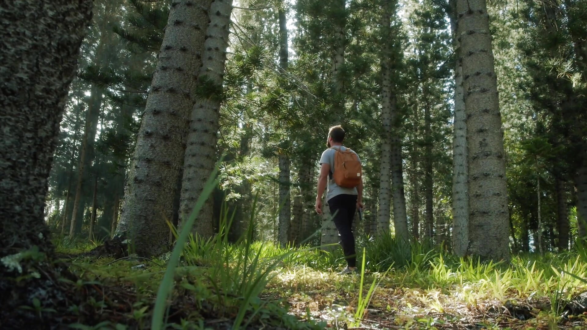 video (1080p) - відео від вебкаммоделі -Mehukas_masho_