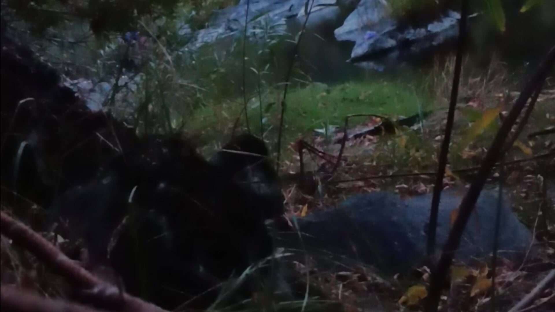 1000002364.mp4 - video by jbonz cam model