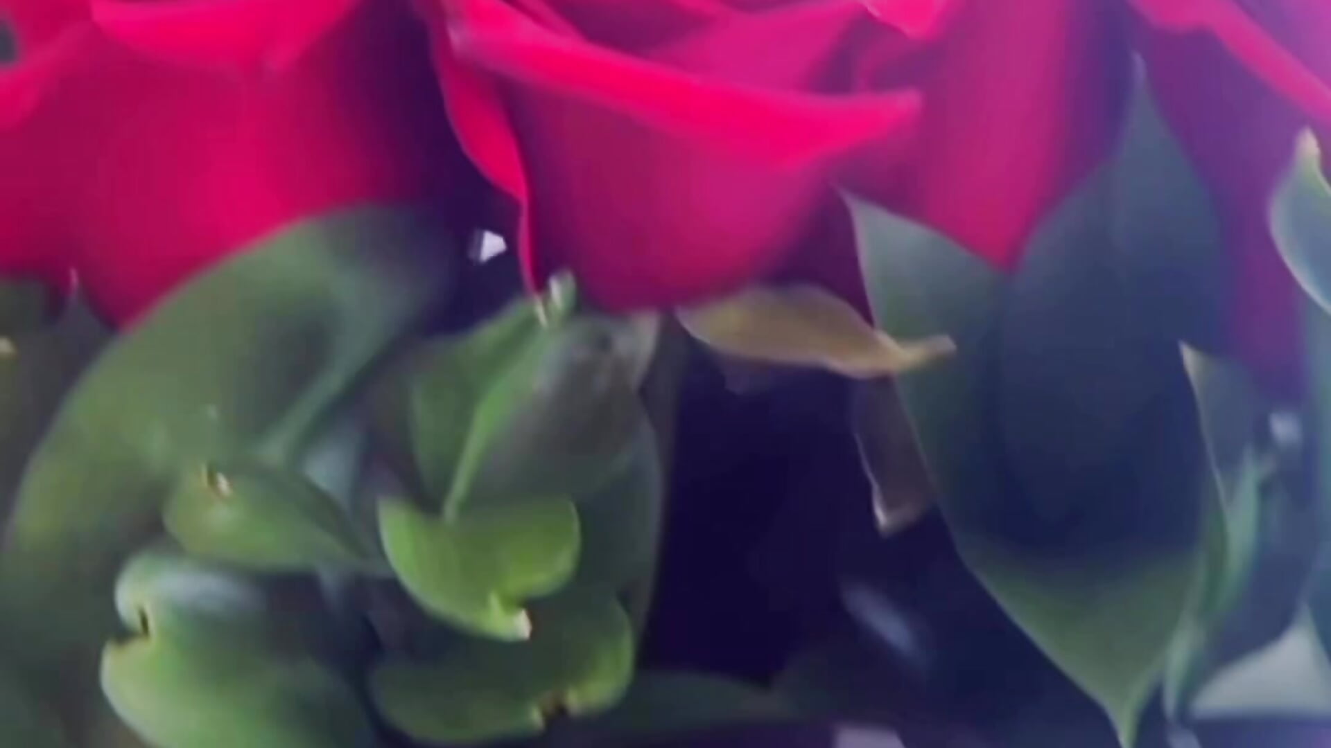 Detalle hermoso de usuario ❤️🥰 - video by emmyjhonson07 cam model