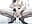 喷水Water spray– Miss_Huang kameramodell videója