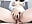 一字马抽xx– Miss_Huang kameramodell videója