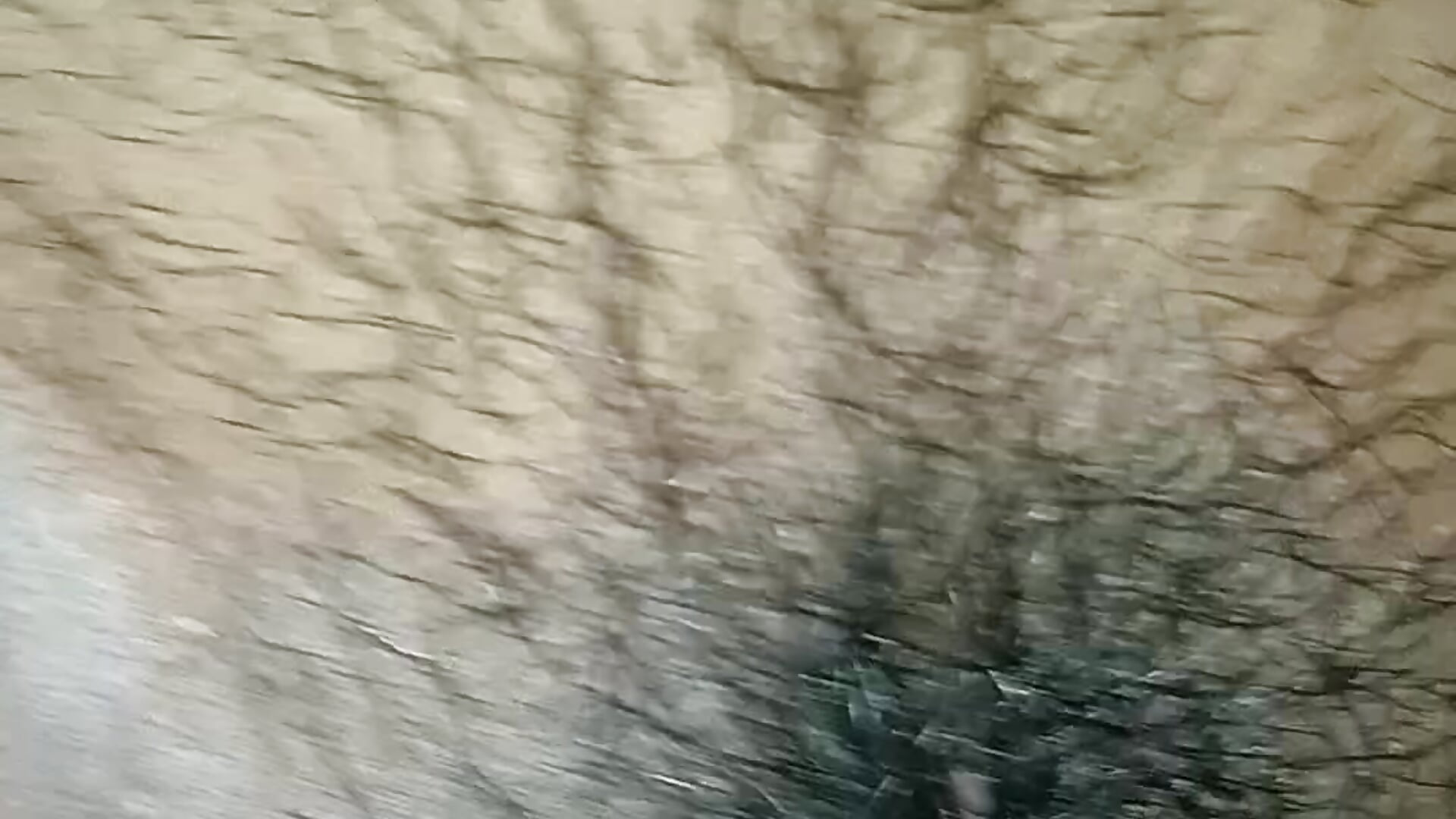 Pushy fingersing squirt
