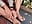 pies - Video von mrsrebeccas Cam-Model