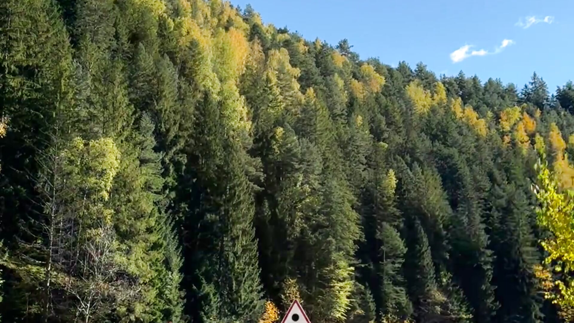 IMG_3286 - video od modelky/modela KristiDan