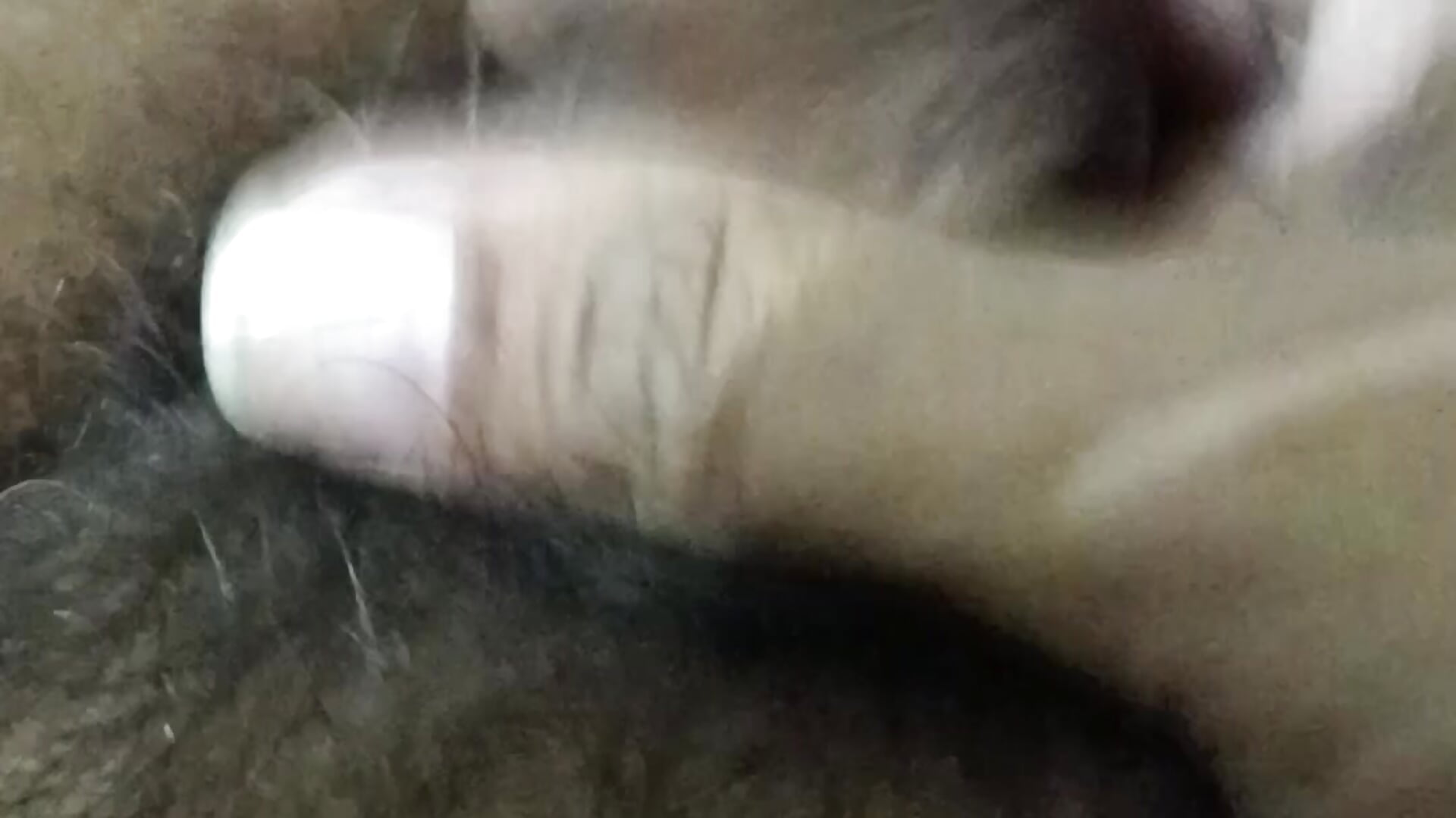 video_20230929_095626 - video của người mẫu cam Hardcock_2325