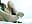 Footjob for you👣 - video by PamelaParrish cam model