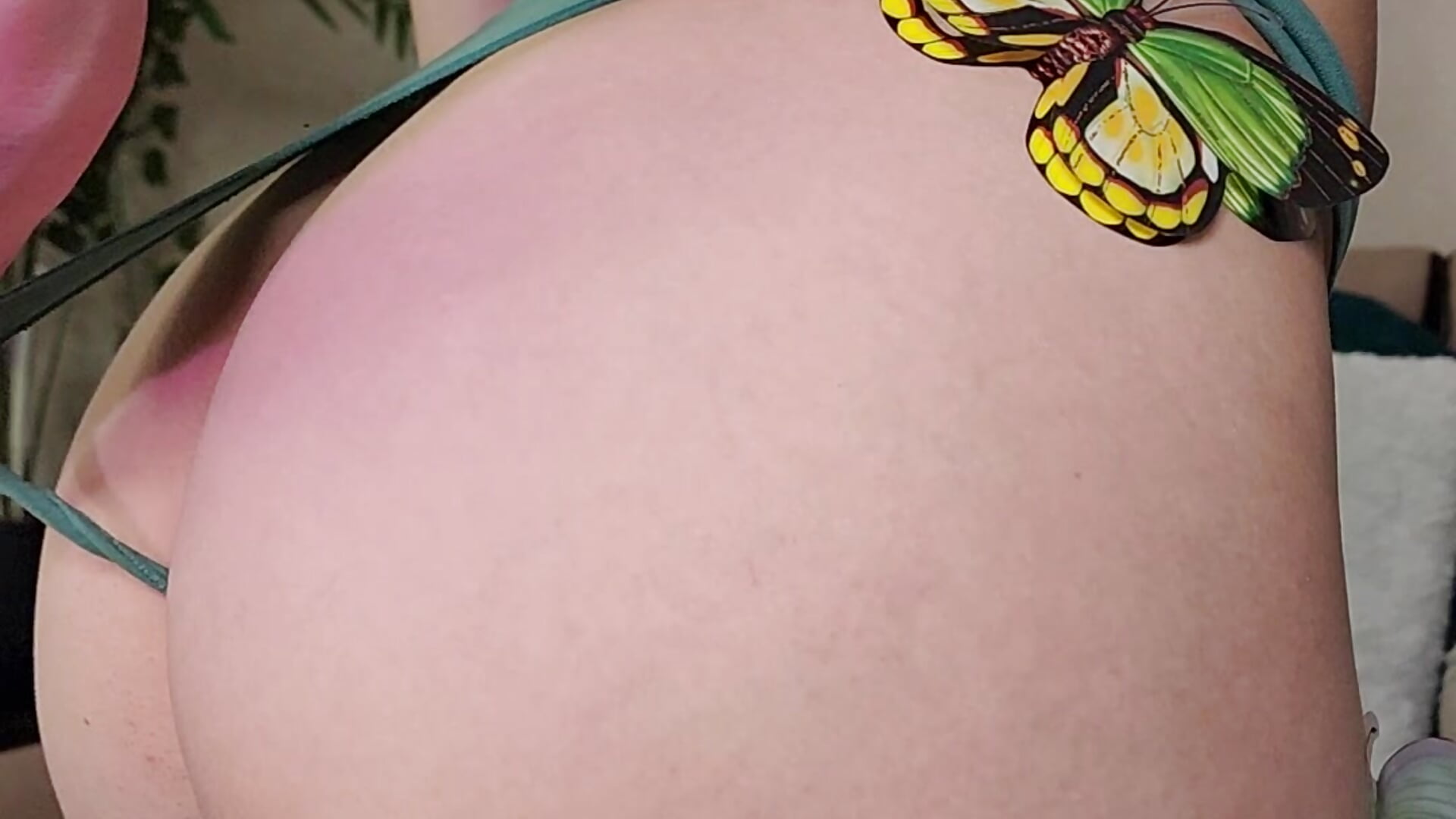 Butterflies and my hot peach <3