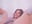 🔥DILDO ASS+FEET+LUSH🔥 - video by Luna_Kitanna cam model