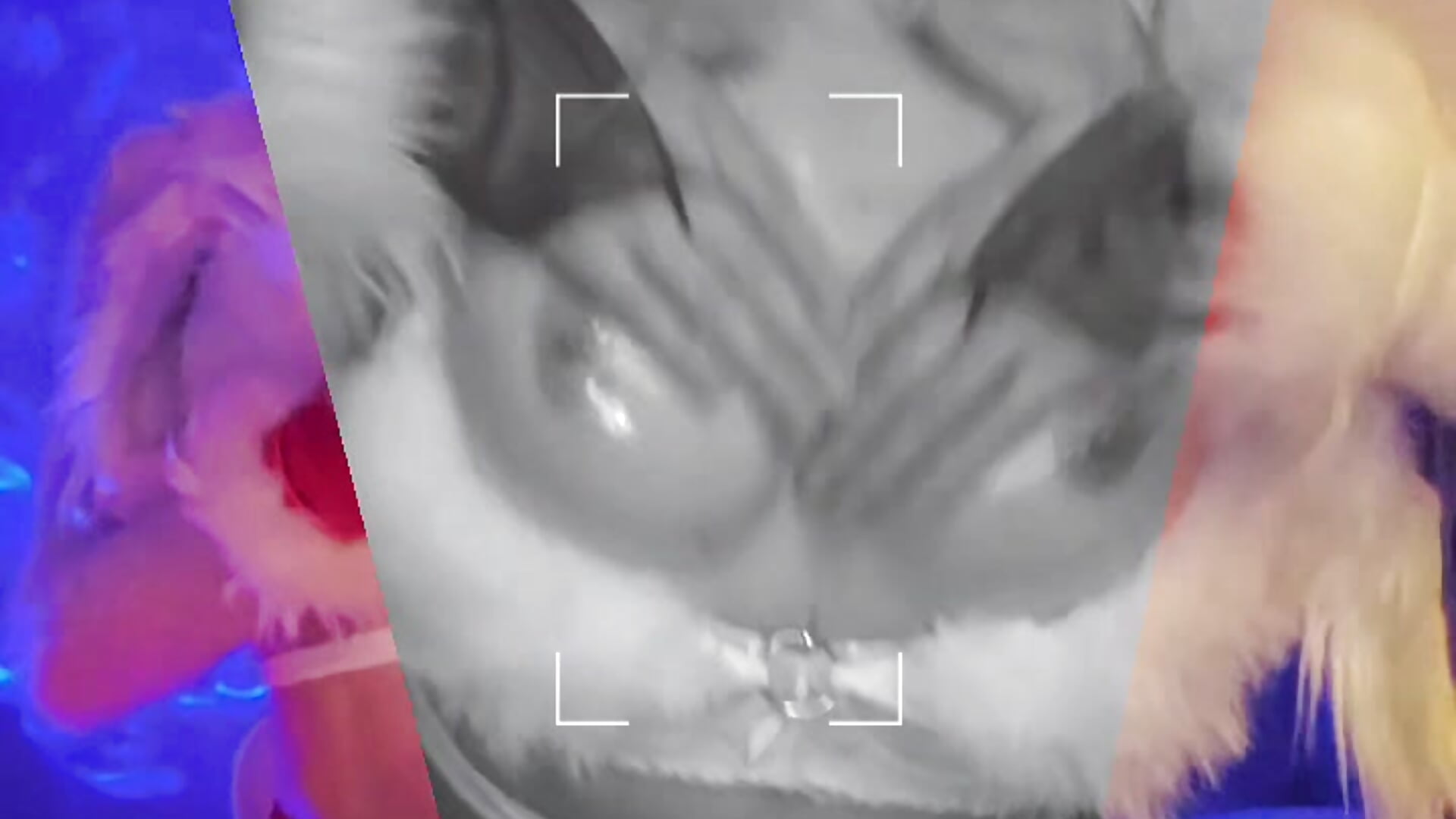 ✨️Christmas Party sweet strip✨️ - vídeo de la modelo de cam Luna_Kitanna