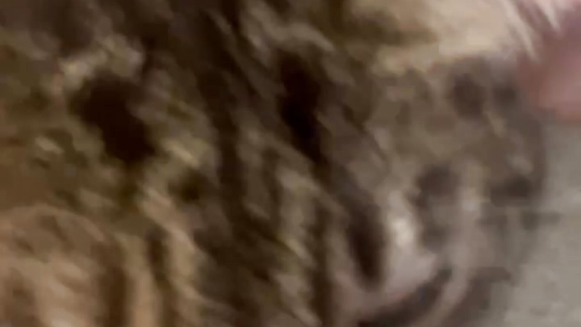 Me and my boyfriend ^,^ - video by RoseHilly cam model