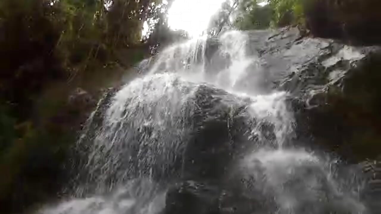 Enjoying nature 🦍🌞🌞 - Ryan_coopper adlı kamera modelinin videosu