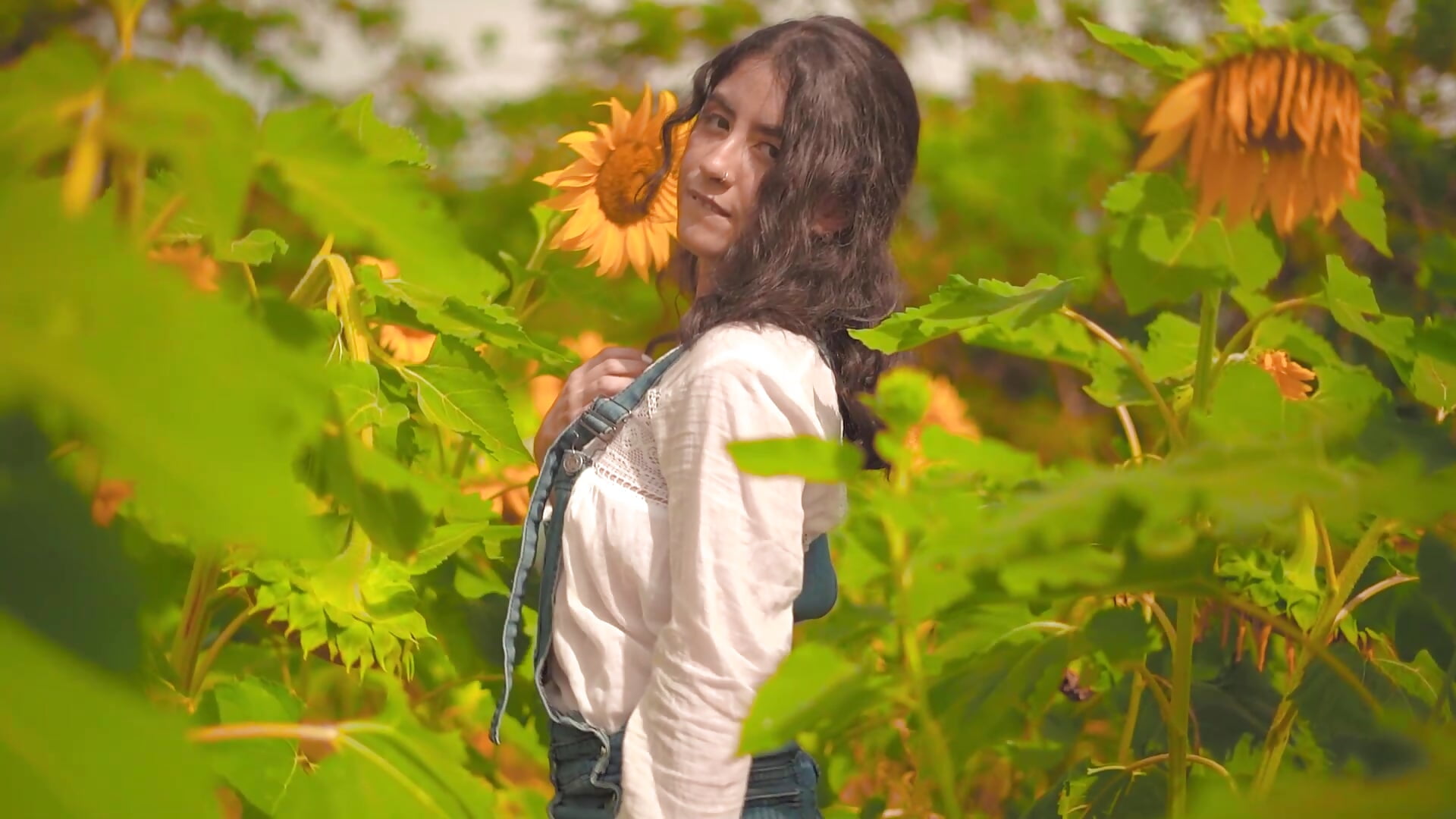 sensual in the sunflower field