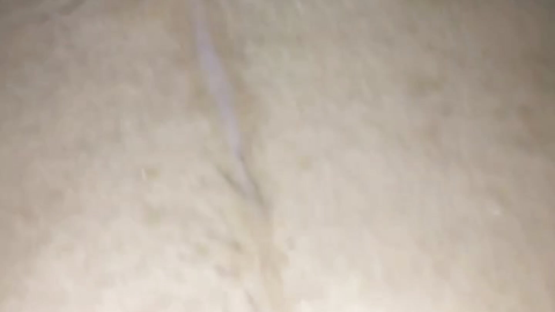 Bruno’s cum is so yummy - video by Brunocuttie94 cam model