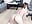 Mina doggy-ミナの犬 - video by Mono-Stewardesss cam model