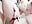 3 flight attendants - video by Mono-Stewardesss cam model