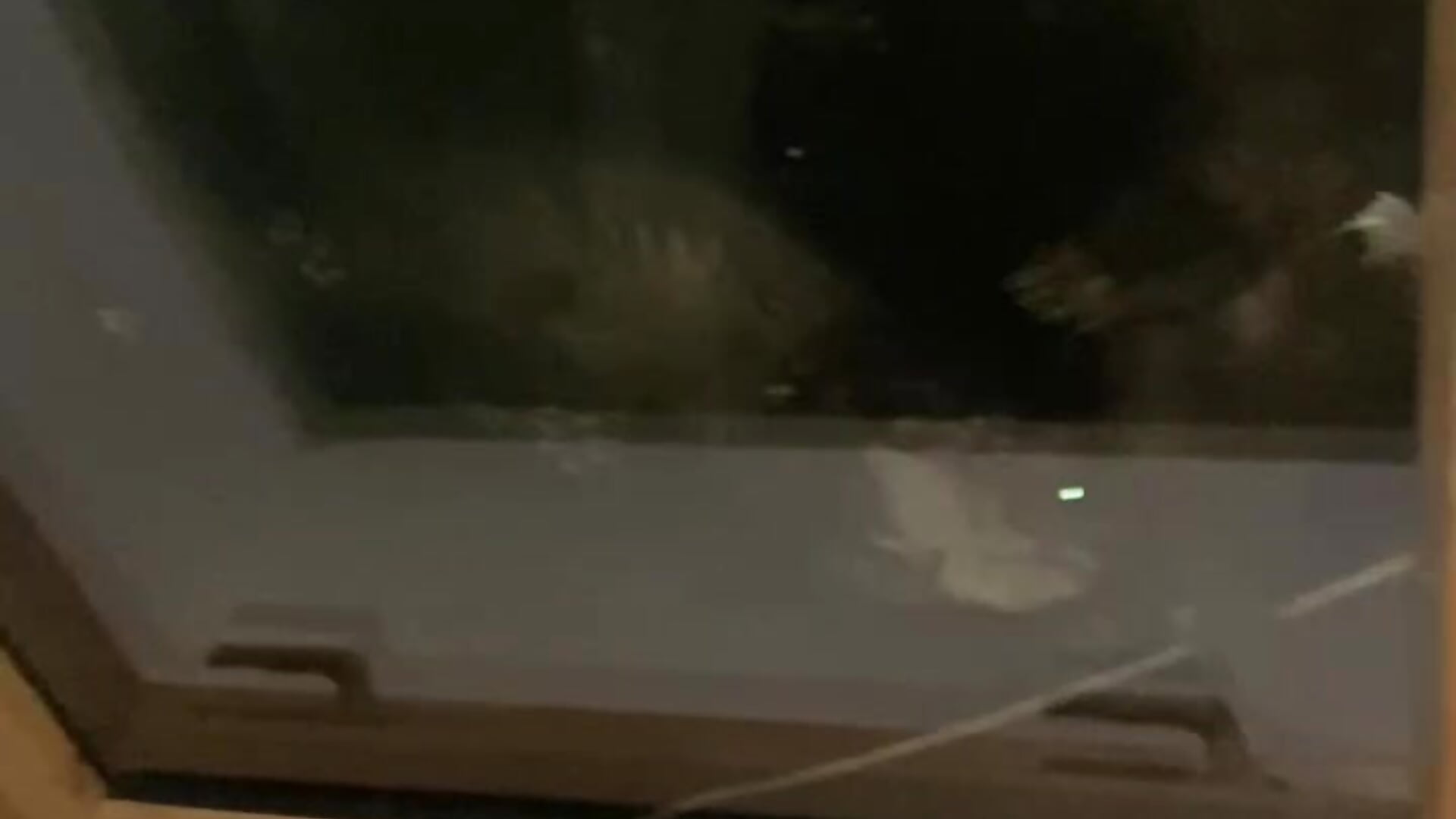 noisy family on the roof) - video by SugarMuse cam model