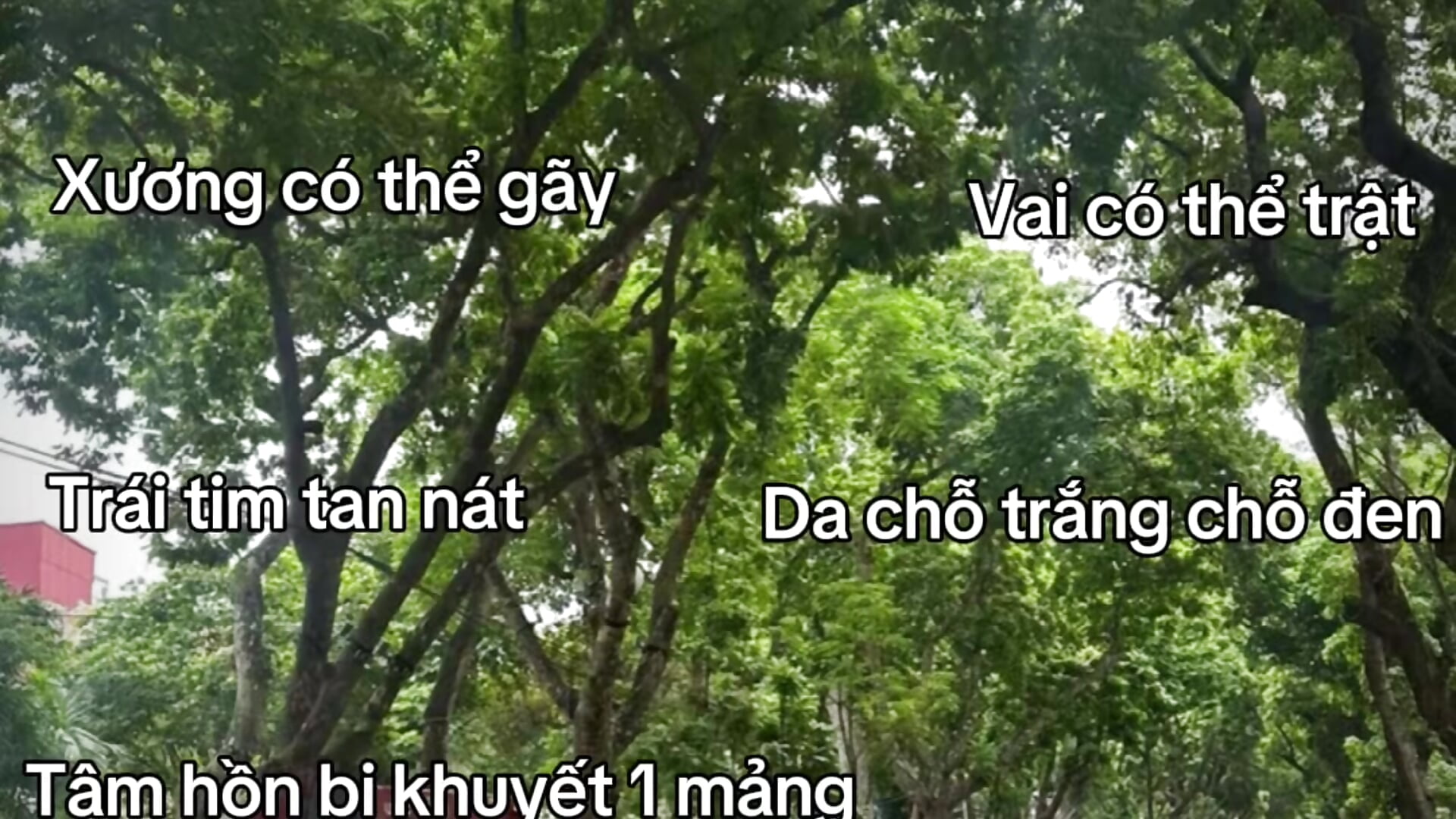 Tình trạng hiện tại…. - Vídeo de Bambo-sweetie, modelo de vídeos
