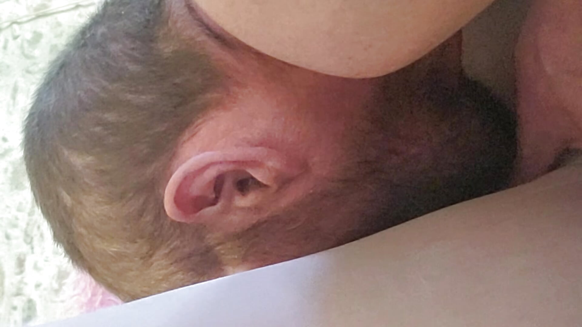 Mange moi