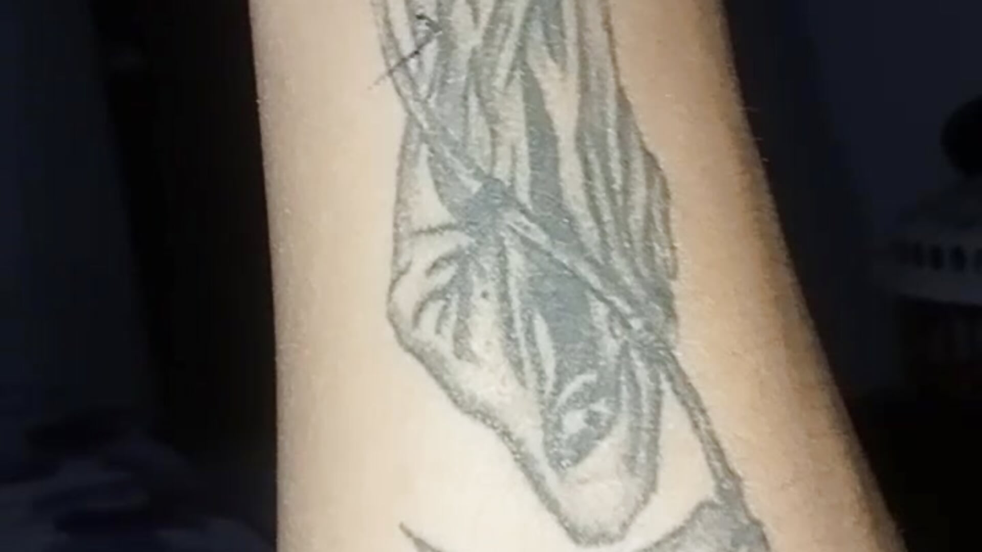 VID20251108172957 - video by Pedro1997carlis cam model