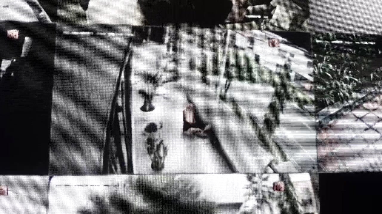 Voyeur moment - video by SteffanyBeck cam model