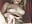 I masturbate alone😛😊❤️ - video by LeylaRosse cam model
