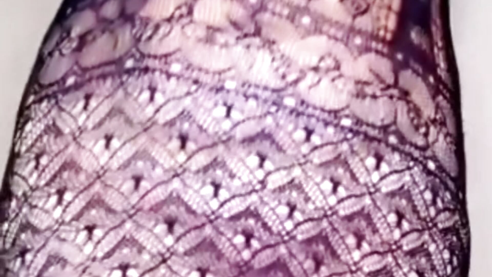 1696272304482 - video by mirou90 cam model