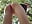 my round naked ass and wet clitoris masturbation❤️ - video by SSSATIVA_model cam model