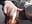 Masturbation in the back seat of a taxi - video by SSSATIVA_model cam model