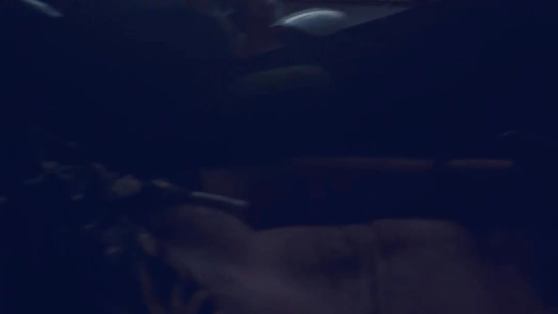 Just a post clouding stroke sesh gettin set to happen - video by StuntingSpunMarine69 cam model