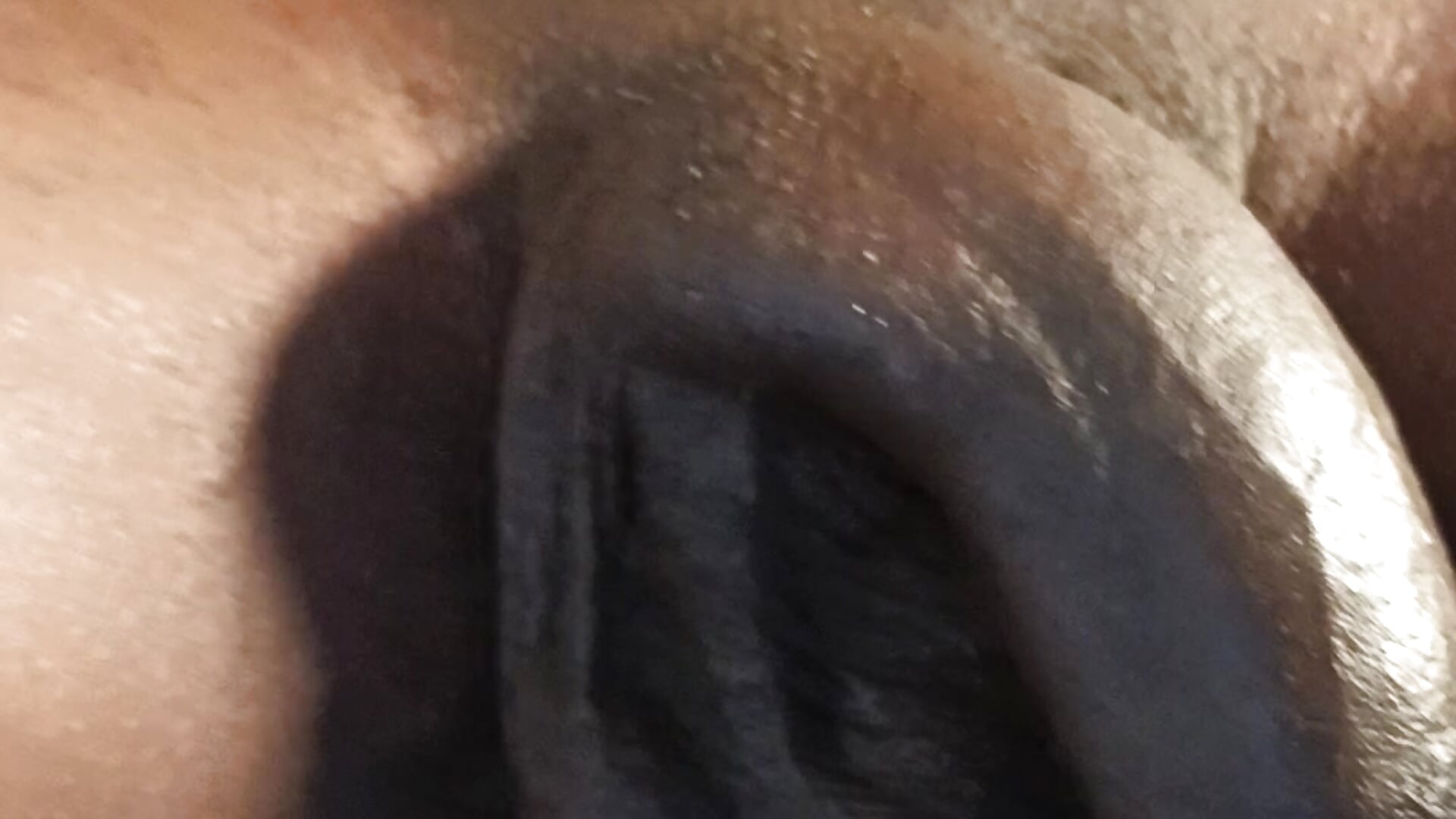 1000473565 - video oleh Moteroxz kamera model