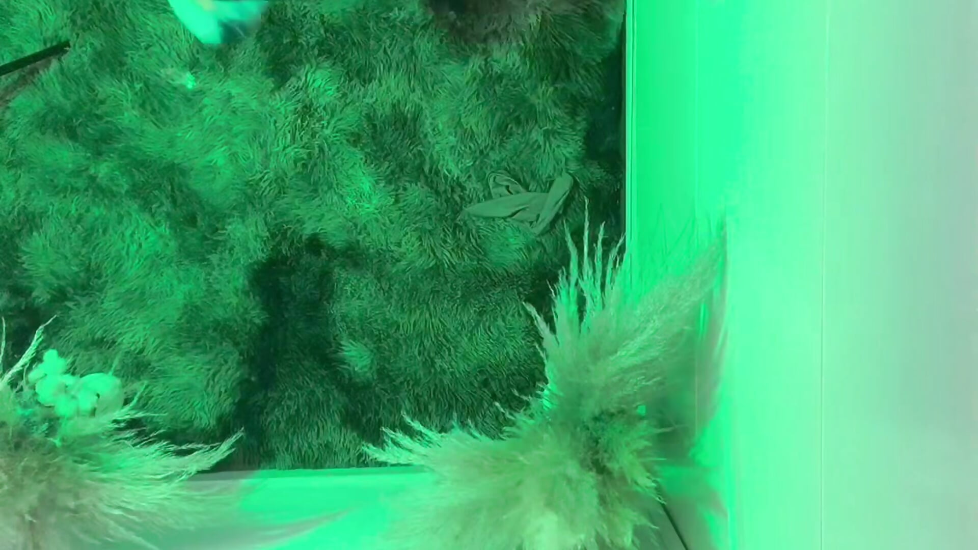 fire - video by pretty_pettite cam model