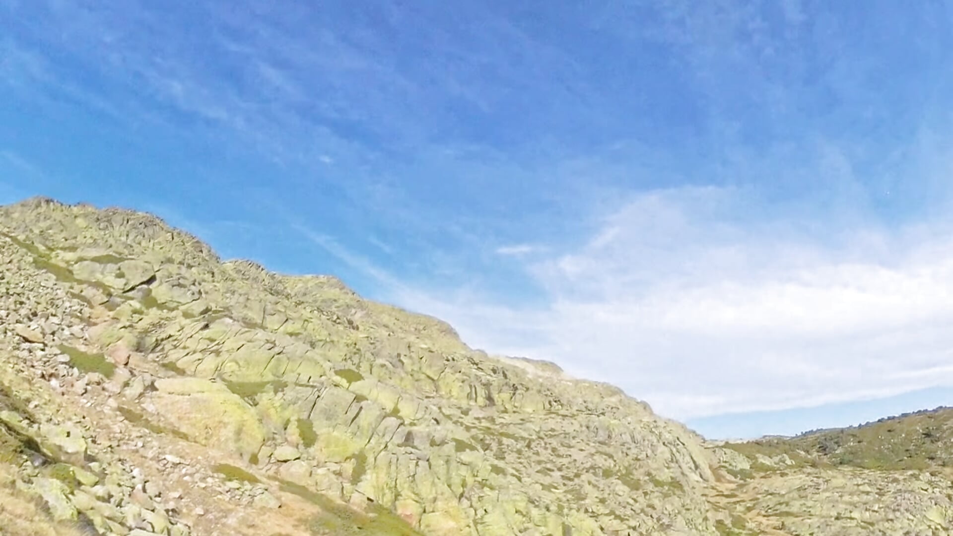 1000047951 - video by Mariusvidican cam model