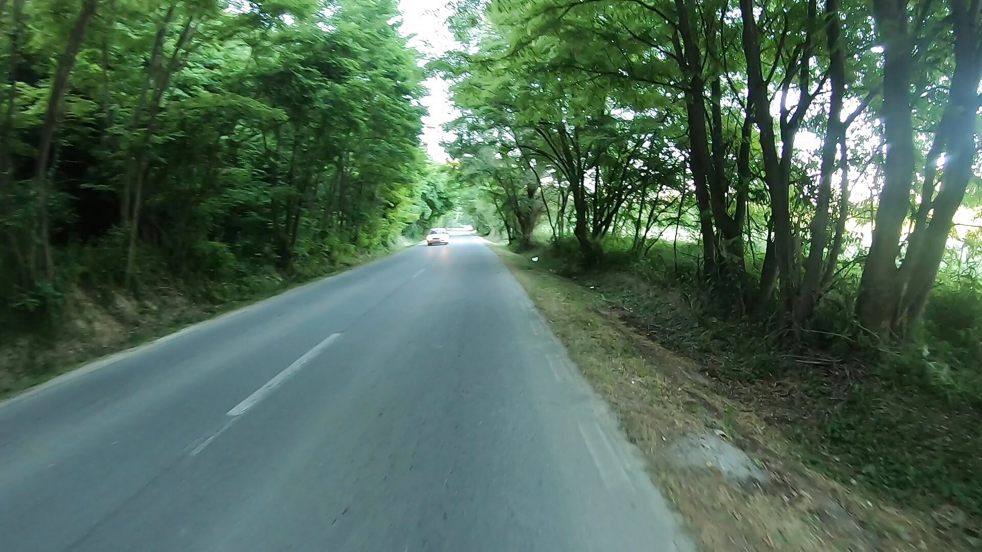 1000046593 - video by Mariusvidican cam model