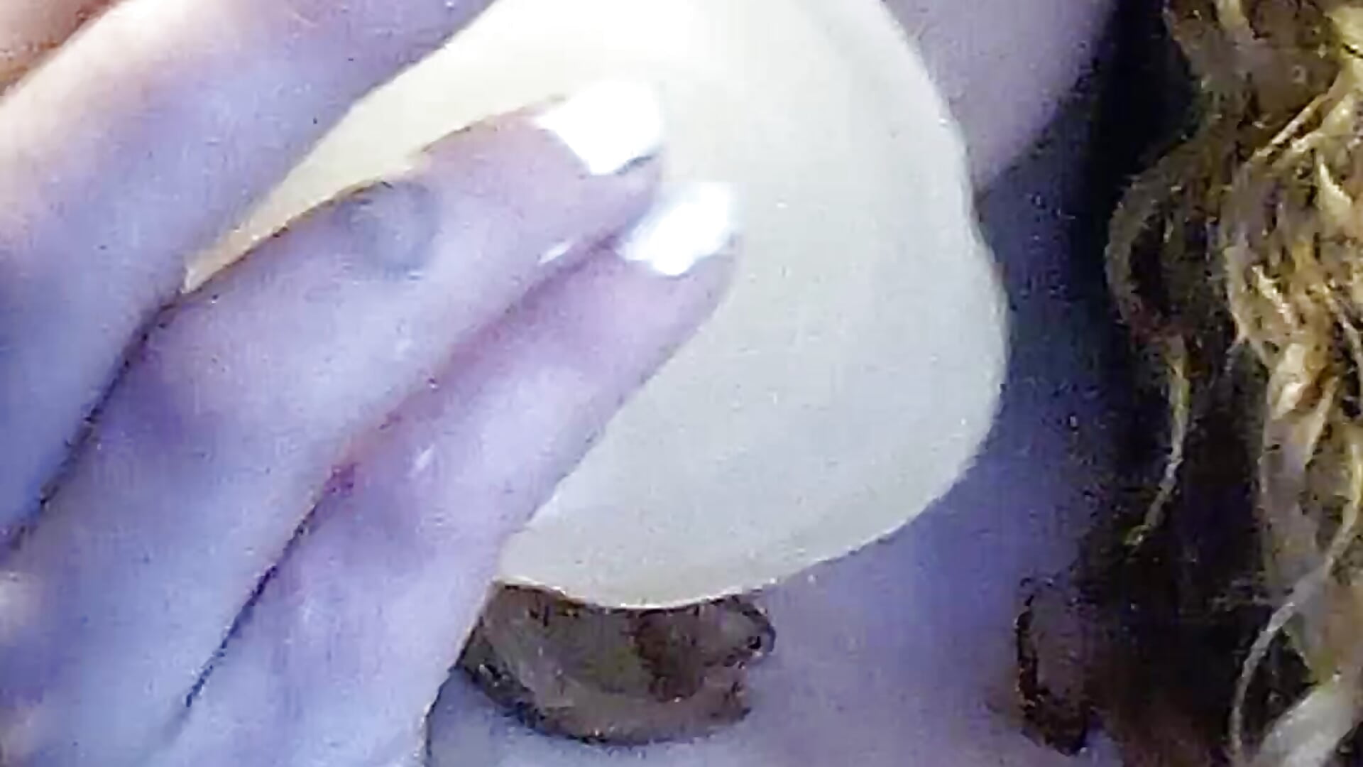 VID_20231011_103159 - video by Allygrantham19 cam model