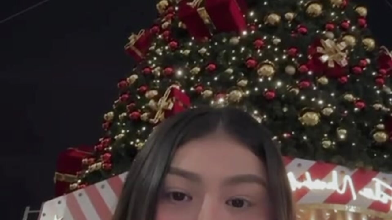 I am fascinated by Christmas