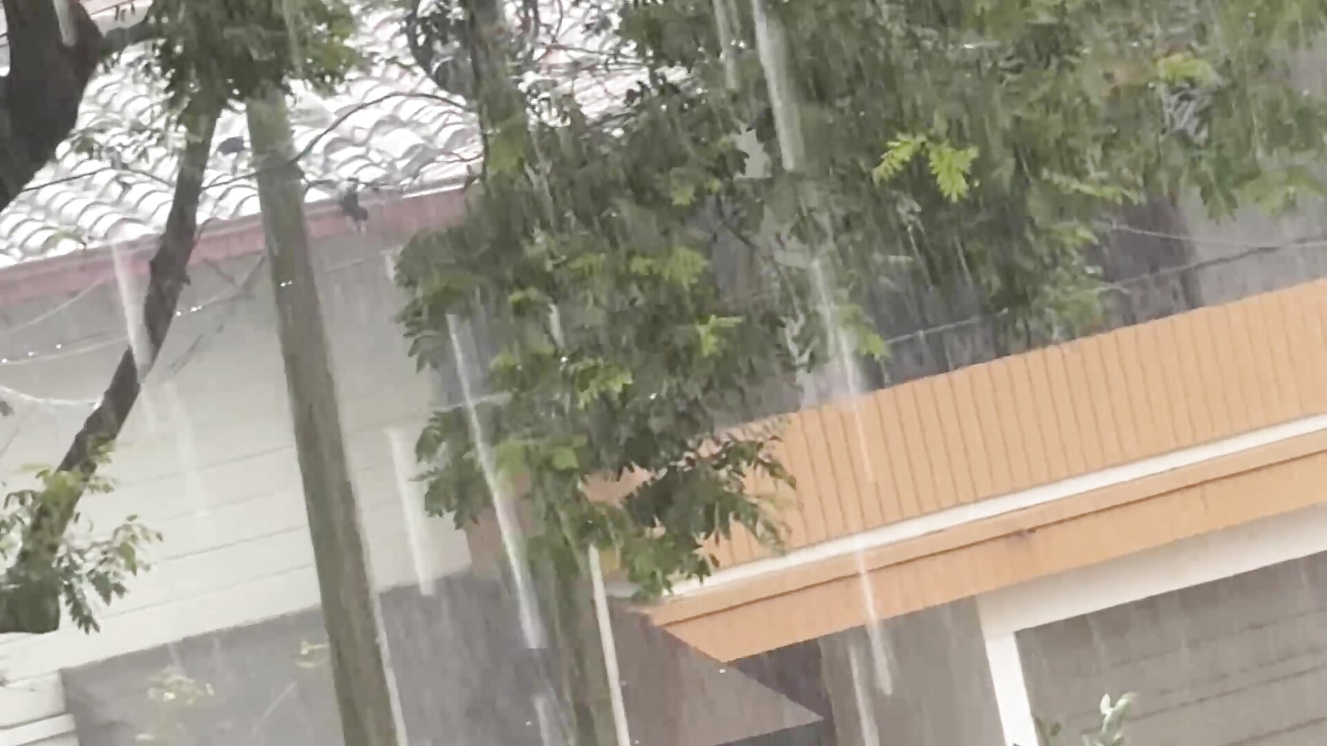 I love the sound and I love watching the rain fall. ⛈️⛈️ - video by Sebas-hott cam model