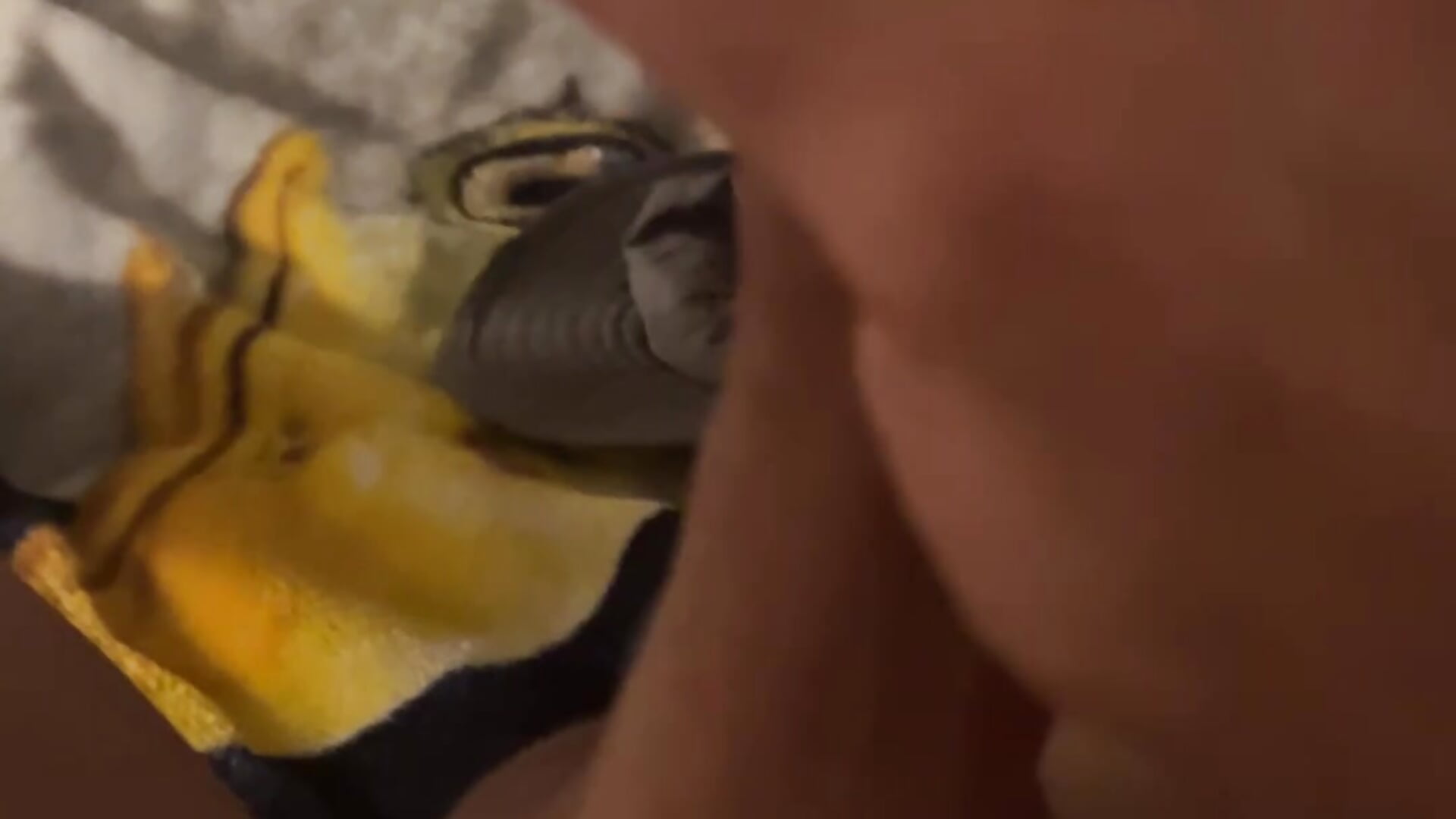 Stroke it - βίντεο μοντέλου jaycuma