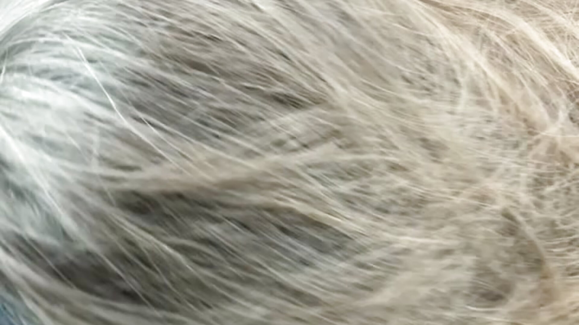 Je suce, il conduit ! T’aimerais être à sa place ? - video by Mlleeffy cam model