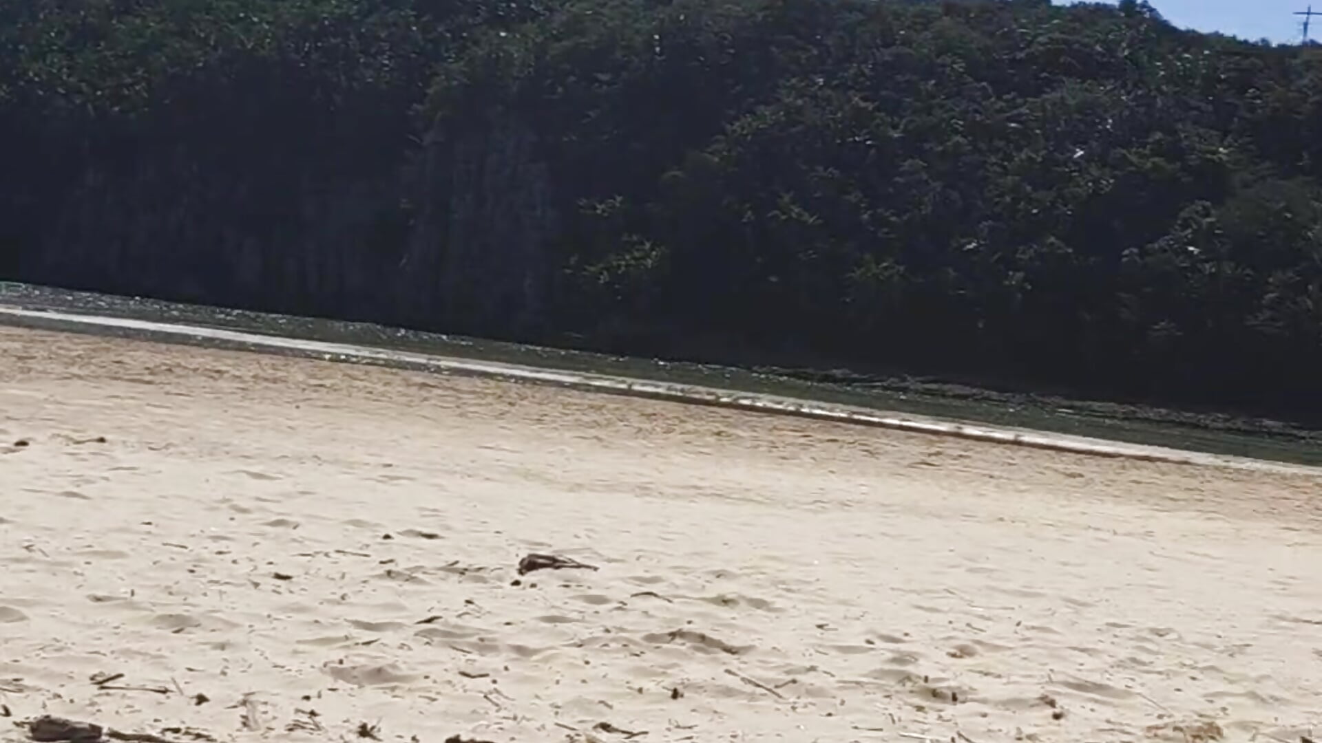 Vídeo em tendência de modelo na câmara TheOneTaboo 6356