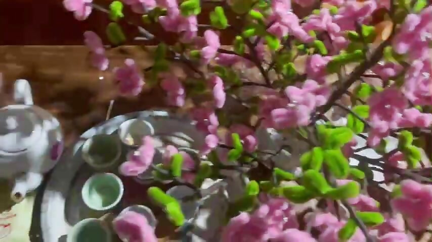 1000007952 — filmik Miner09, modela(-lki) na kamerkach