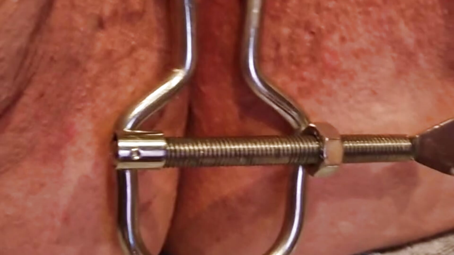 spekulum 3 - video by Tigon80 cam model